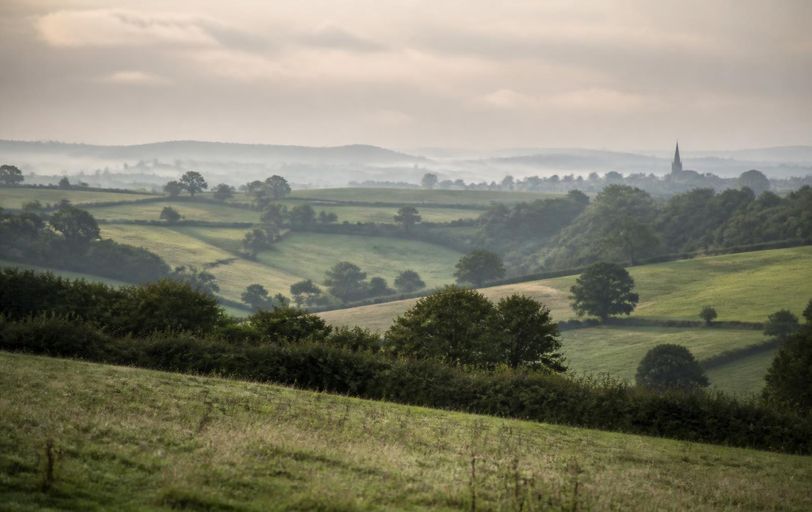 Rolling hedgerow landscape of the Pays des Collines in morning mist